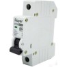 RYDN6-1C16 Mini Interruptor IEC Royer 6kA 1P