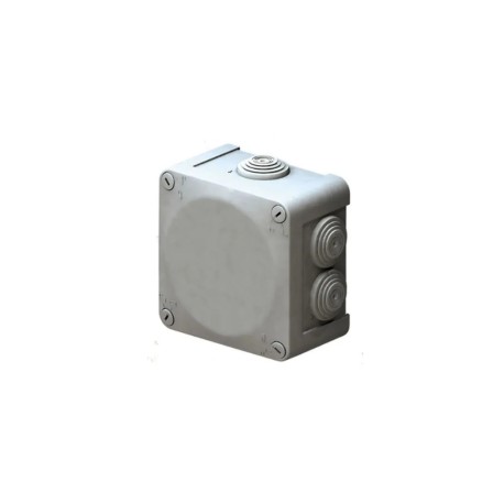 WDC1010S Caja Estancas IP55 100x100x55 con conos y tapa de tornillos