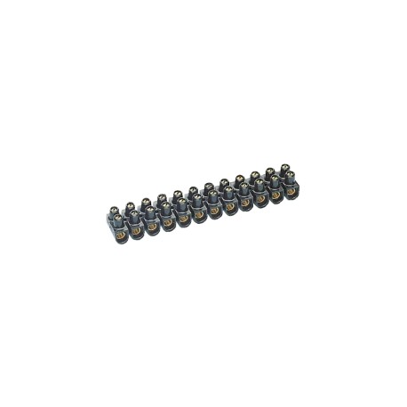 REGLETA CONEXION 12 BORNES 4mm? 15A NEGRA