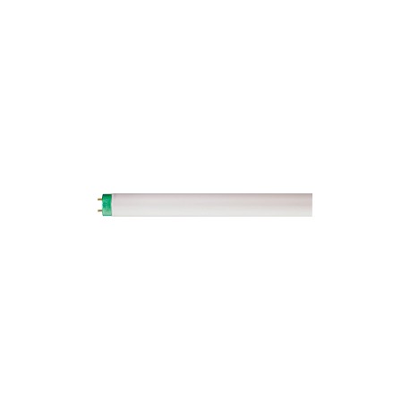 927925486501 Tubo Fluorescente T8 32W 1.20m 6500K
