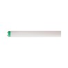 927925486501 Tubo Fluorescente T8 32W 1.20m 6500K